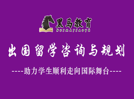 出国留学咨询与规划